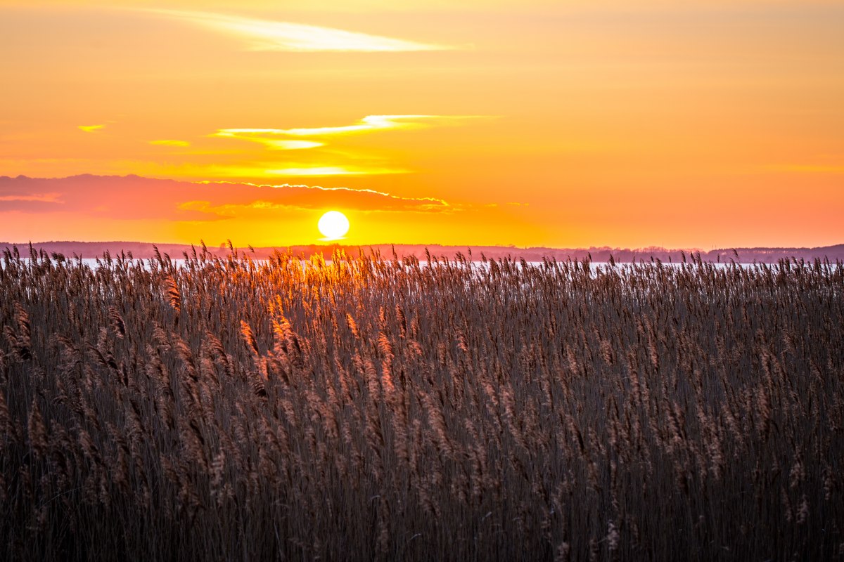Fietstocht naar het Achterland, &copy; insel-fotograf.eu, Andreas Dumke