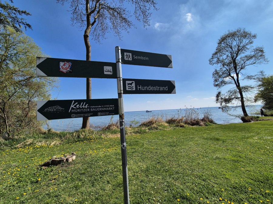 20250420_135253, © Gina Schulenberg 20250420_135253, © Gina Schulenberg