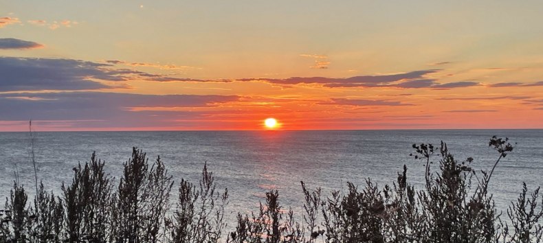 &copy; Kurverwaltung Ahrenshoop