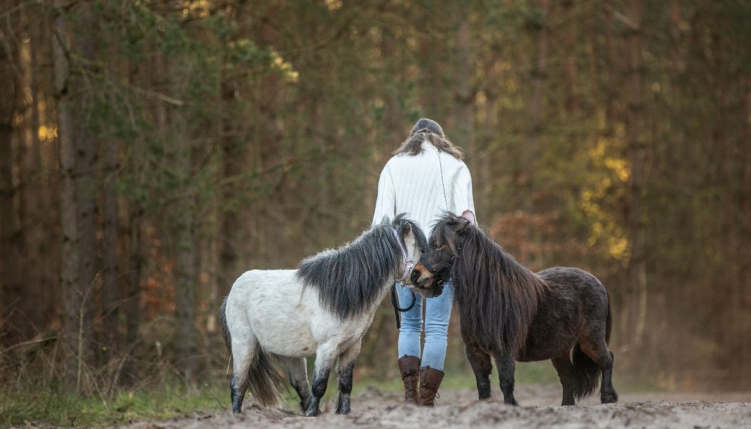Pferde reagieren auf unsere Körpersprache // © Anniemal Fotografie Pferde reagieren auf unsere Körpersprache // © Anniemal Fotografie
