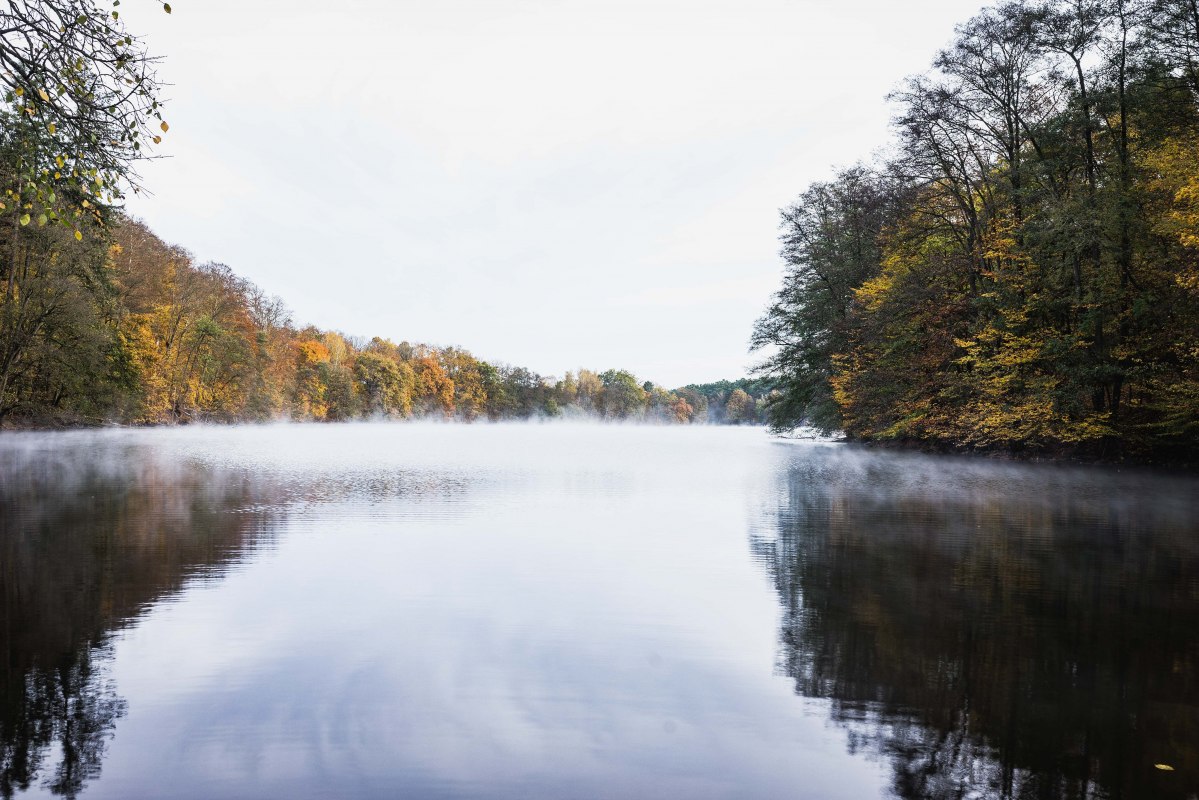 LKO00683_edited, &copy; Heike Brechler