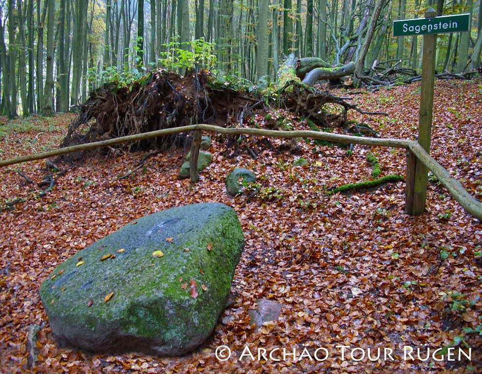 Verborgen in het loofbos ligt de legendarische steen // © Archäo Tour Rügen Verborgen in het loofbos ligt de legendarische steen // © Archäo Tour Rügen