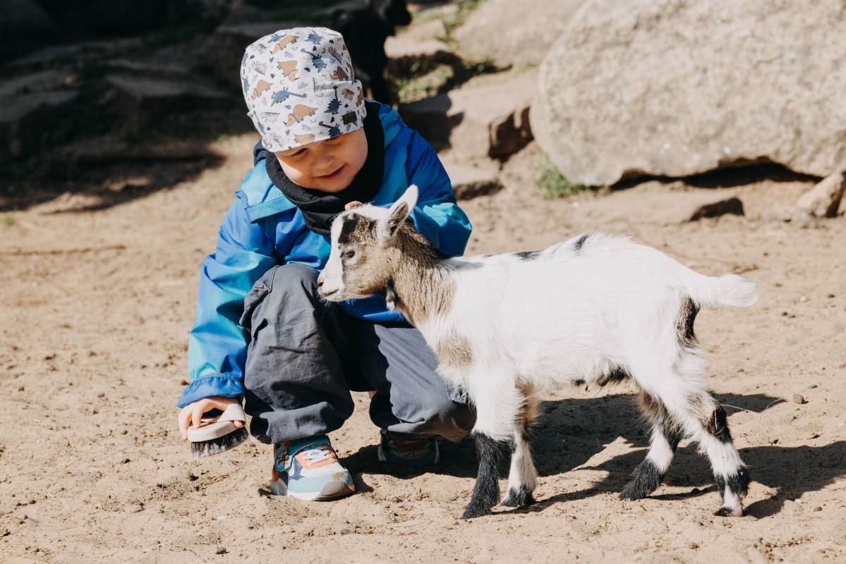 TheresaLangeFotografie_TIERGARTEN_NEUSTRELITZ_049, &copy; Theresa Lange