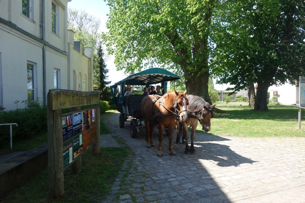 Boek Manor House, © TDG Rechlin mbH