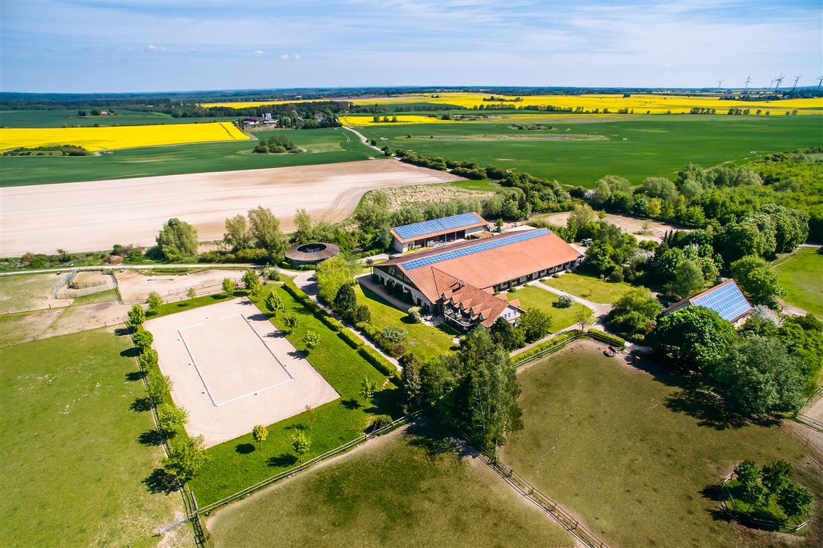 Peeneland farm // © Bombis Peeneland farm // © Bombis