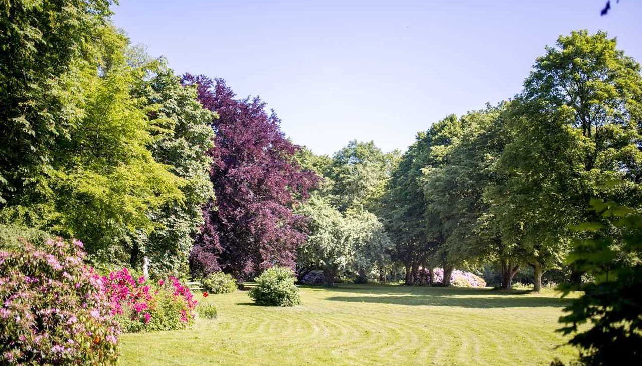 Rododendrony w parku, © Herrenhaus Samow