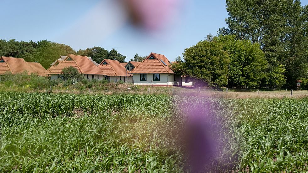Welcome to the Jugendtours vacation village Ummanz // © Jugendtours-Feriendorf Ummanz/Meixner Welcome to the Jugendtours vacation village Ummanz // © Jugendtours-Feriendorf Ummanz/Meixner