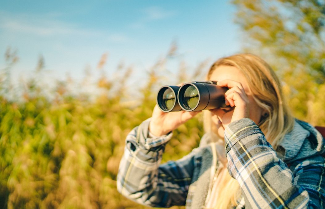 Birdwatching, przyroda, ornitologia, © Südliche Boddenküste