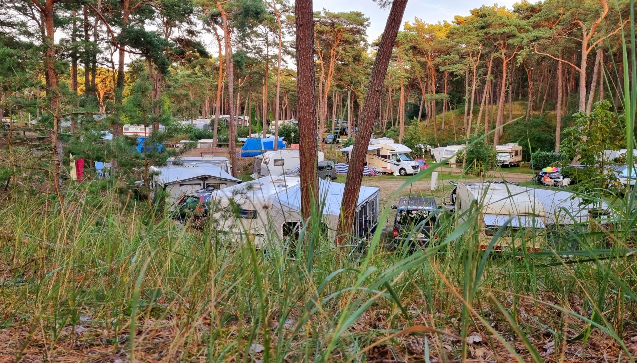 Uitzicht op de camping., © KV Trassenheide Uitzicht op de camping., © KV Trassenheide