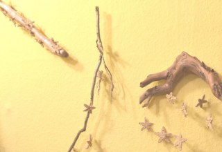 Mobile with starfish from the Baltic Sea, &copy; Marie-Luise Merkle