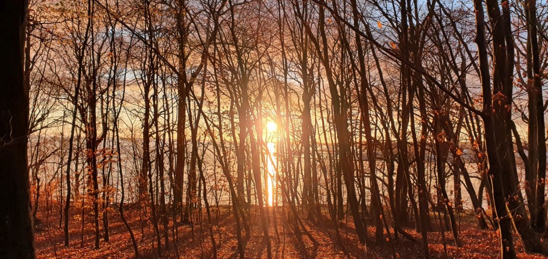 Bosbaden in de winter (c) Kurverwaltung Goehren, &copy; Kurverwaltung Goehren