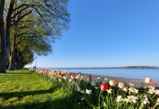 &copy; Kredl / TZ HST