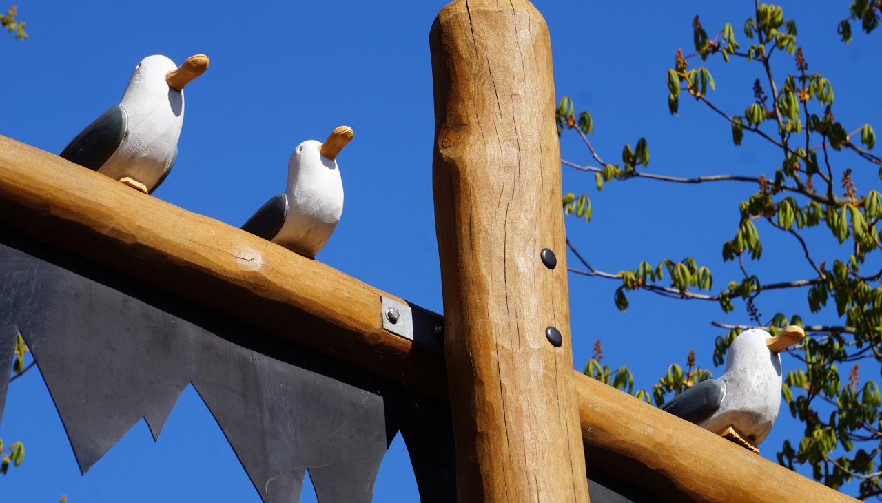 The trio of seagulls watches over the little pirates., © Cindy Wohlrab / KVW Wustrow The trio of seagulls watches over the little pirates., © Cindy Wohlrab / KVW Wustrow