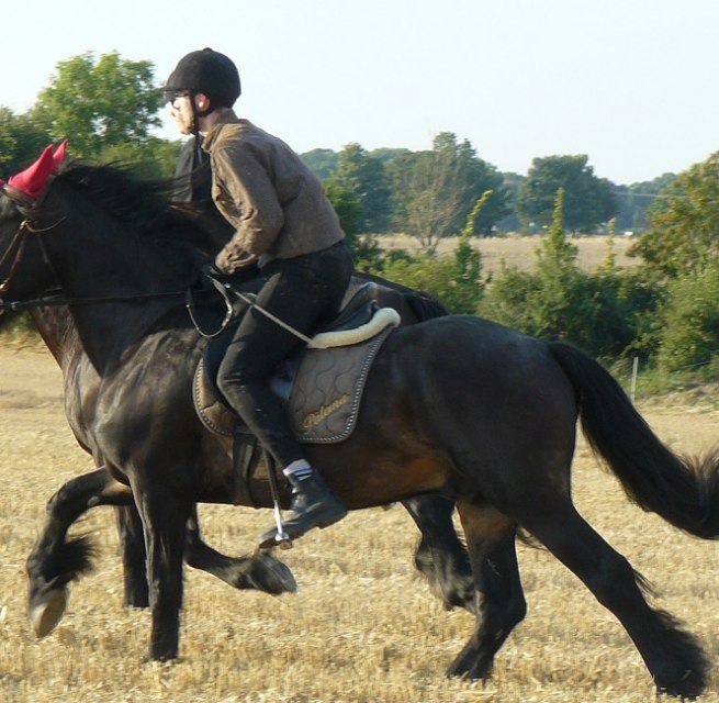 Horseback ride through the beautiful nature // © Ponyhof Rügen Horseback ride through the beautiful nature // © Ponyhof Rügen
