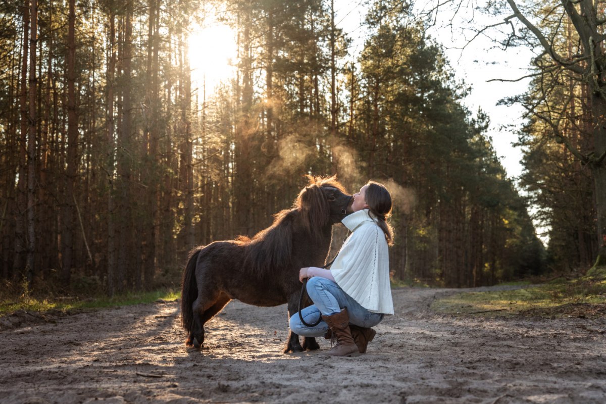 Pony knuffel, &copy; Anniemal Fotografie