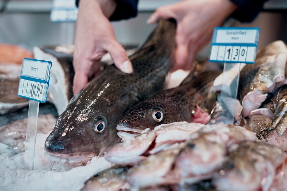 Świeży dorsz w dziale sprzedaży, © MYFISH-ostsee, © Sebastian Dorbrietz/ WFG Vorpommern