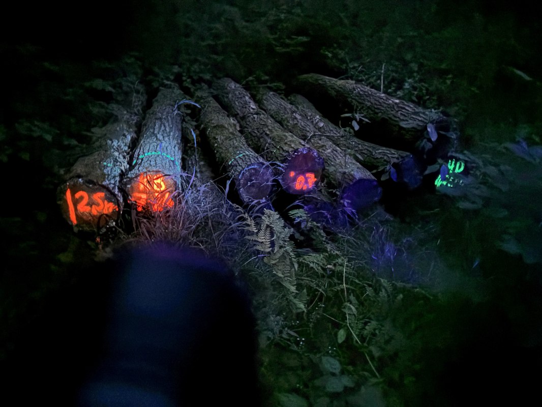 26-05-08 In a different light 2, GMZ, &copy; C