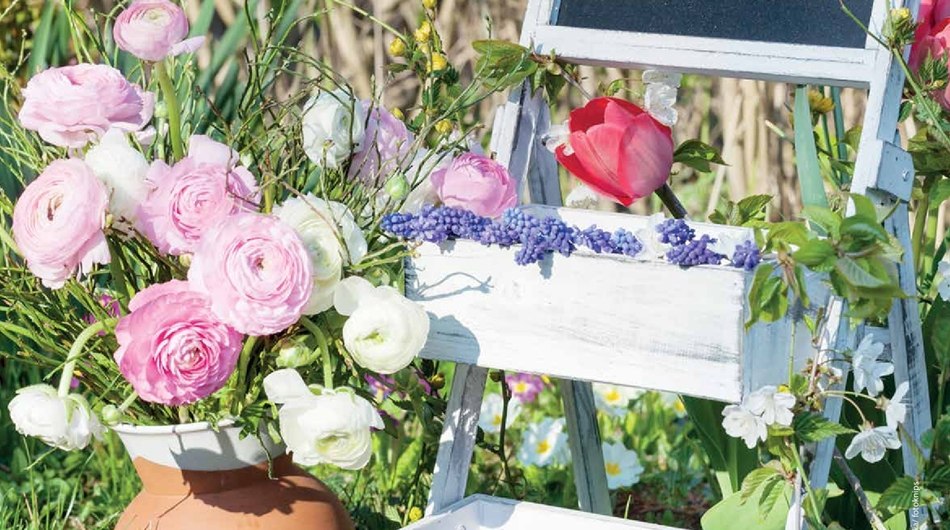 © fotolia/fotoknips © fotolia/fotoknips