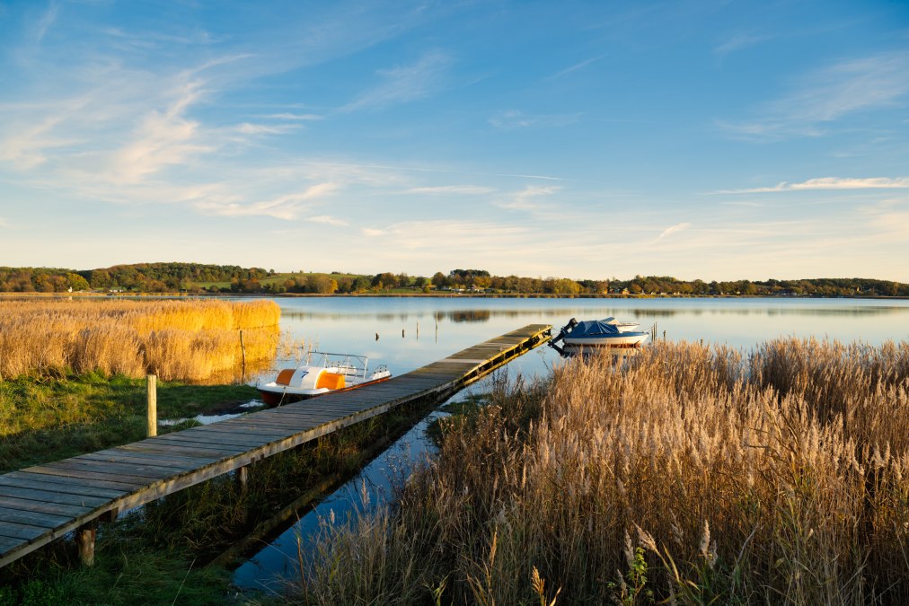 20241102-Neuensiener-See-Foto-ChBurwitz-1, © CB 20241102-Neuensiener-See-Foto-ChBurwitz-1, © CB