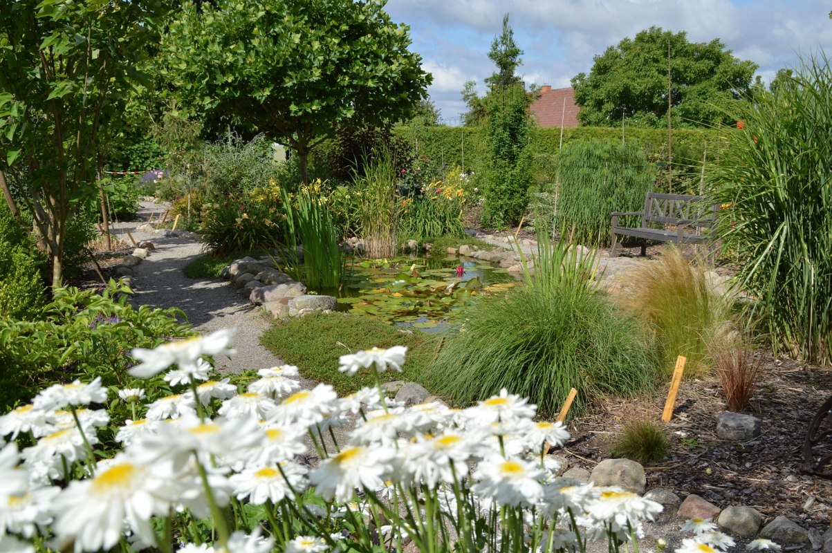 Quiet seating by the garden pond // © Kevin Hager (Baumschule Hager) Quiet seating by the garden pond // © Kevin Hager (Baumschule Hager)