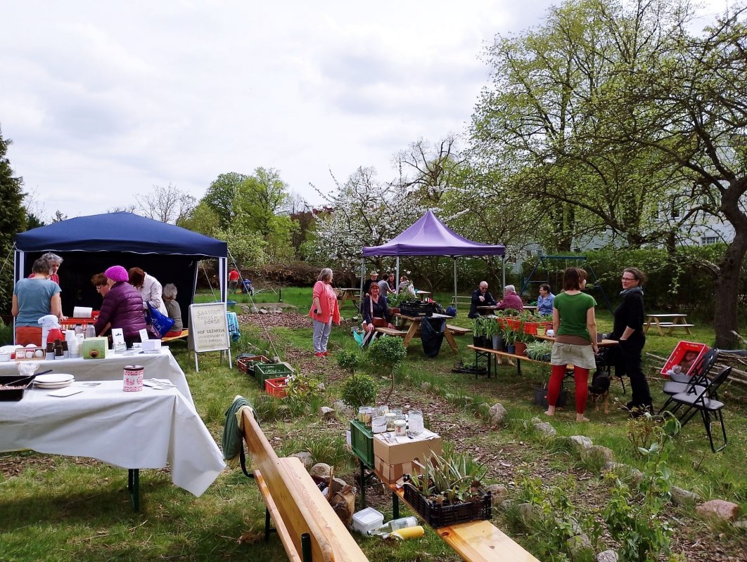 Zaad uitwisselen, &copy; Heimatverein Demmin