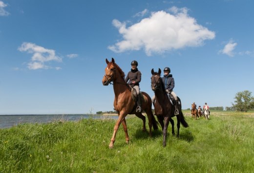 Rijden door het platteland tussen de Oostzee en het Mecklenburgse merengebied, © TMV/Frank Hafemann Rijden door het platteland tussen de Oostzee en het Mecklenburgse merengebied, © TMV/Frank Hafemann