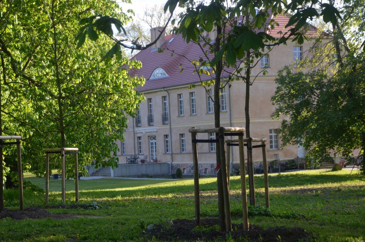 dw&oacute;r, &copy; Annkatrin Rabe