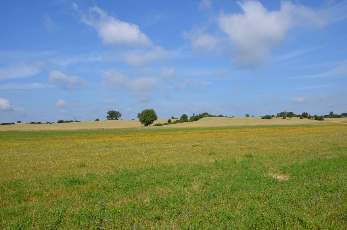 © Kurverwaltung Feldberger Seenlandschaft © Kurverwaltung Feldberger Seenlandschaft
