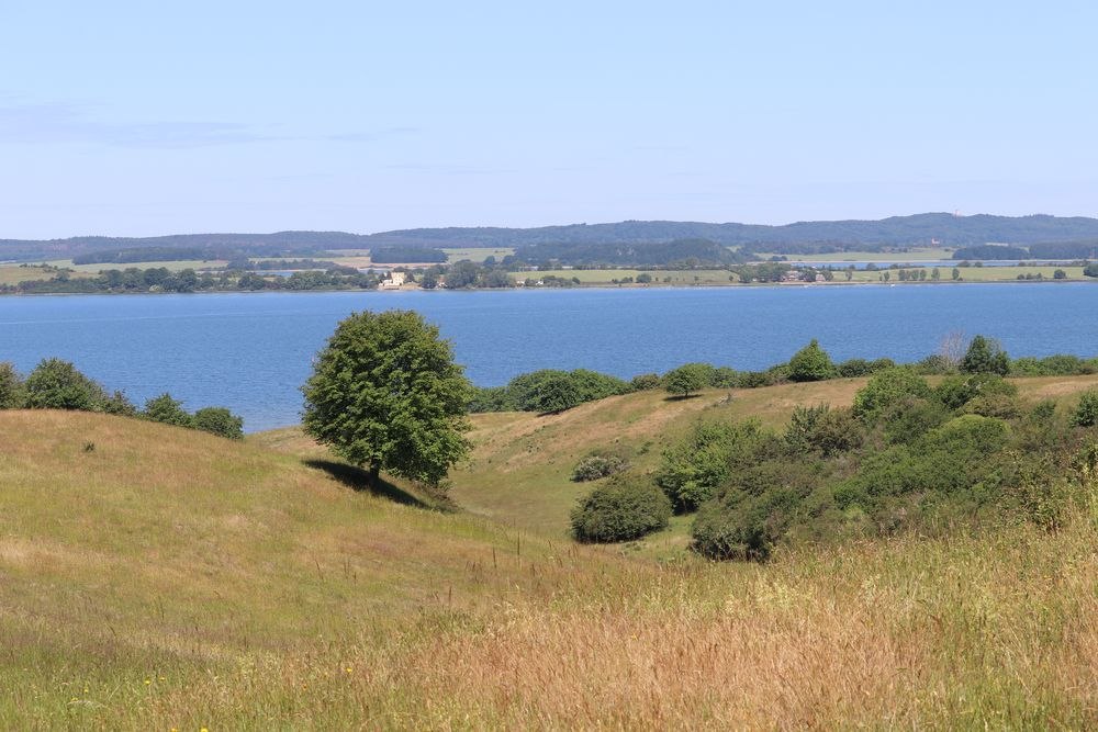Zicker bergen, © Bildarchiv Biosphärenreservatsamt Südost-Rügen
