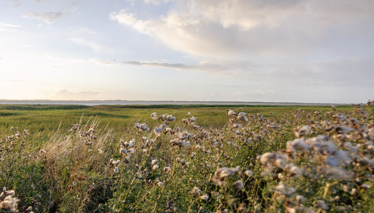 goed-nisdorf-5238, &copy; Gut Nisdorf