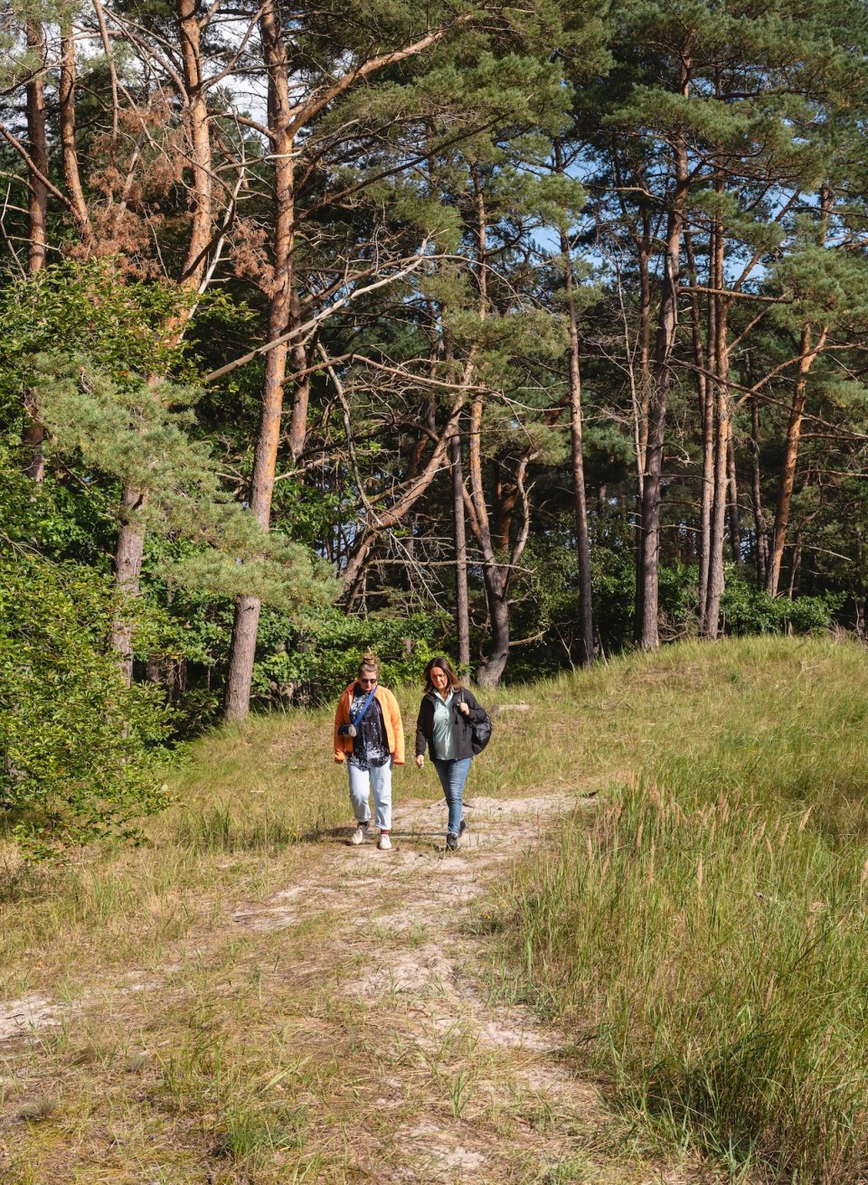 Mindful forest walks have a long tradition in Japan. The coastal forest near Zinnowitz is the perfect place to consciously immerse yourself in nature. // &copy; MV-T/Gross