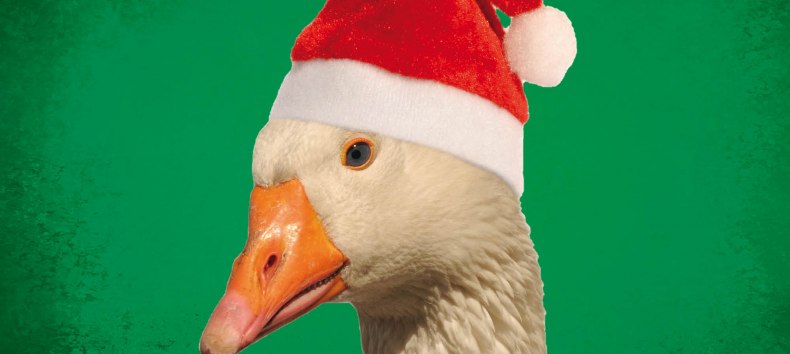 © Vorpommersche Landesbühne Anklam © Vorpommersche Landesbühne Anklam