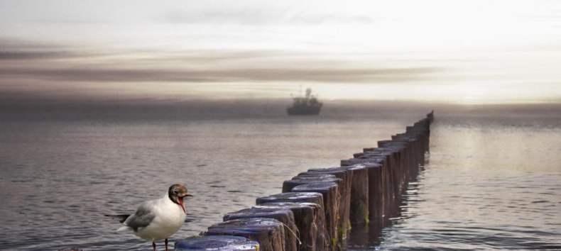 &copy; Margrit Hintsche