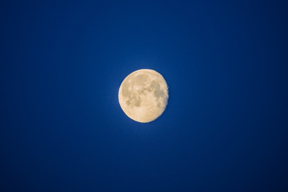 Vollmond auf dem Baumwipfelpfad, © Binzer Bucht Tourismus