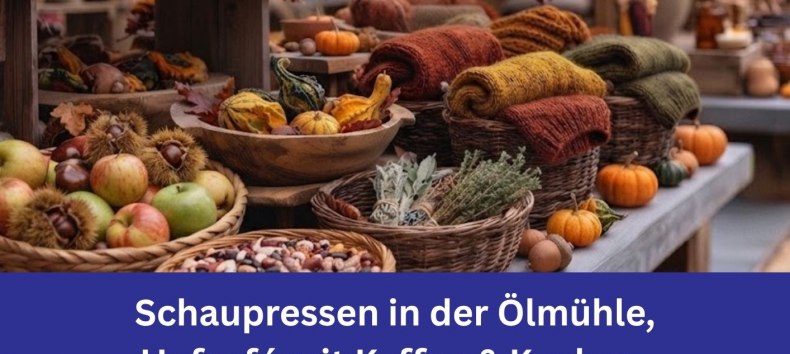Alle Informationen zur Bio-Landpartie am 19.09.2026 von 10 bis 17 Uhr mit Kunsthandwerkern an der Ostseem&uuml;hle in Langenhanshagen // &copy; Ostseem&uuml;hle