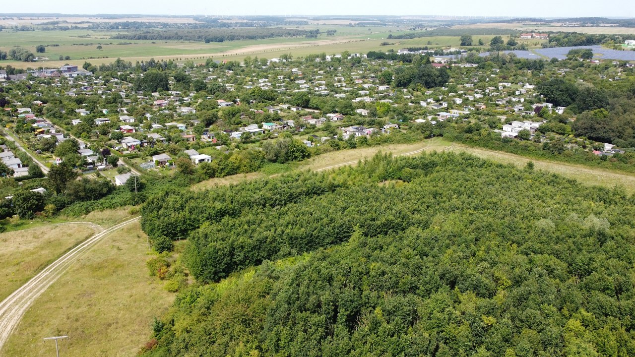 Klimaatbos Neubrandenburg // &copy; Landesforst MV