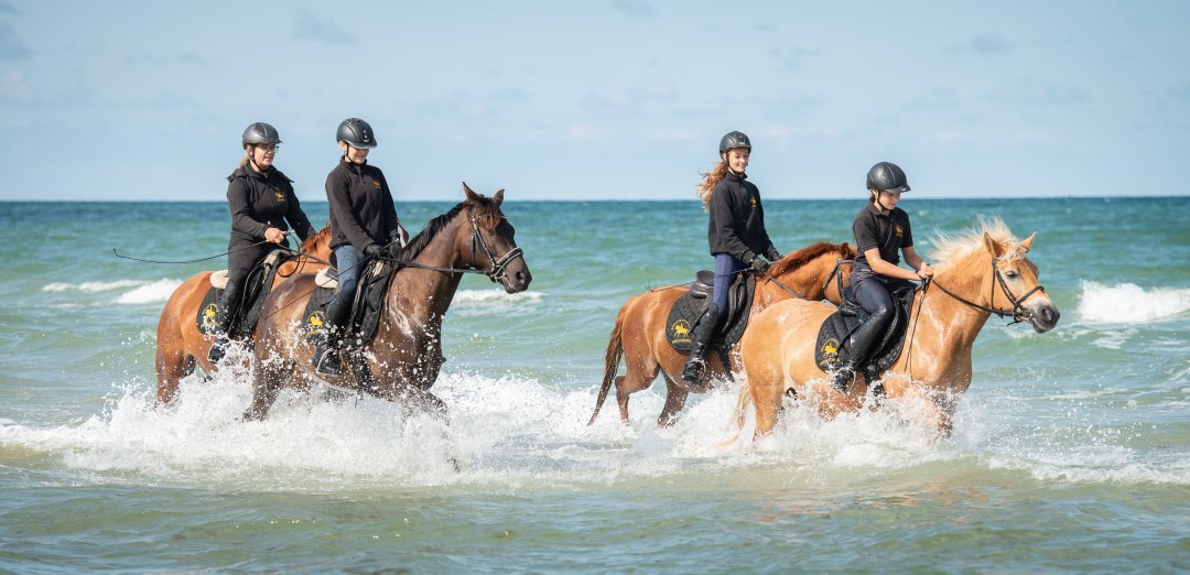 amber_rider_strandritt_1, © bernsteinreiter amber_rider_strandritt_1, © bernsteinreiter