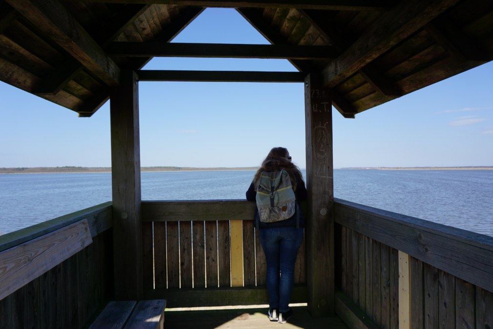 Observation tower at Neuwarper Lake, © tvv-bock