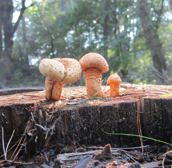 © © Jana Koch © © Jana Koch