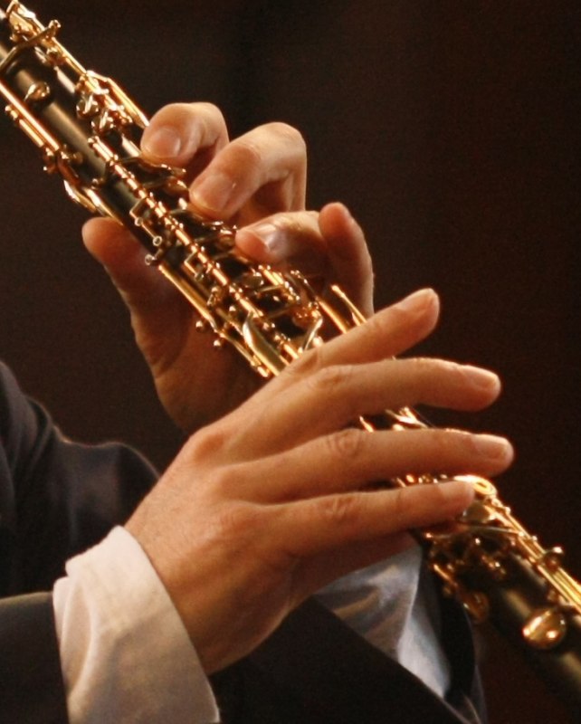 Illustration of an Oboe // &copy; hmt Rostock