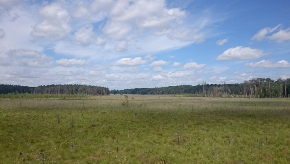 Widok z wieży widokowej Großer Serrahnsee, © TMV/Bodieschek
