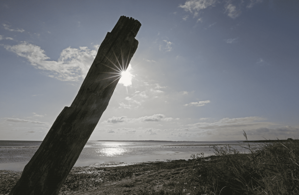 Naturstrand Wampen_2, © TMV/Gohlke