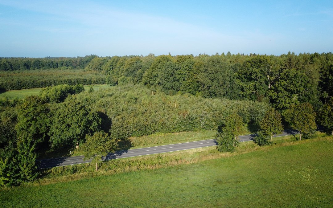 Klimaatbos Bützow, © Landesforst MV