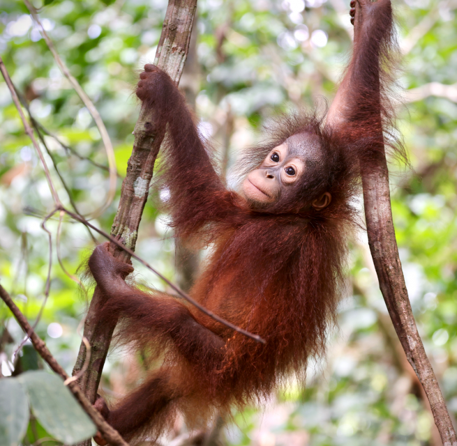 © Deutsche Naturfilmstiftung © Deutsche Naturfilmstiftung