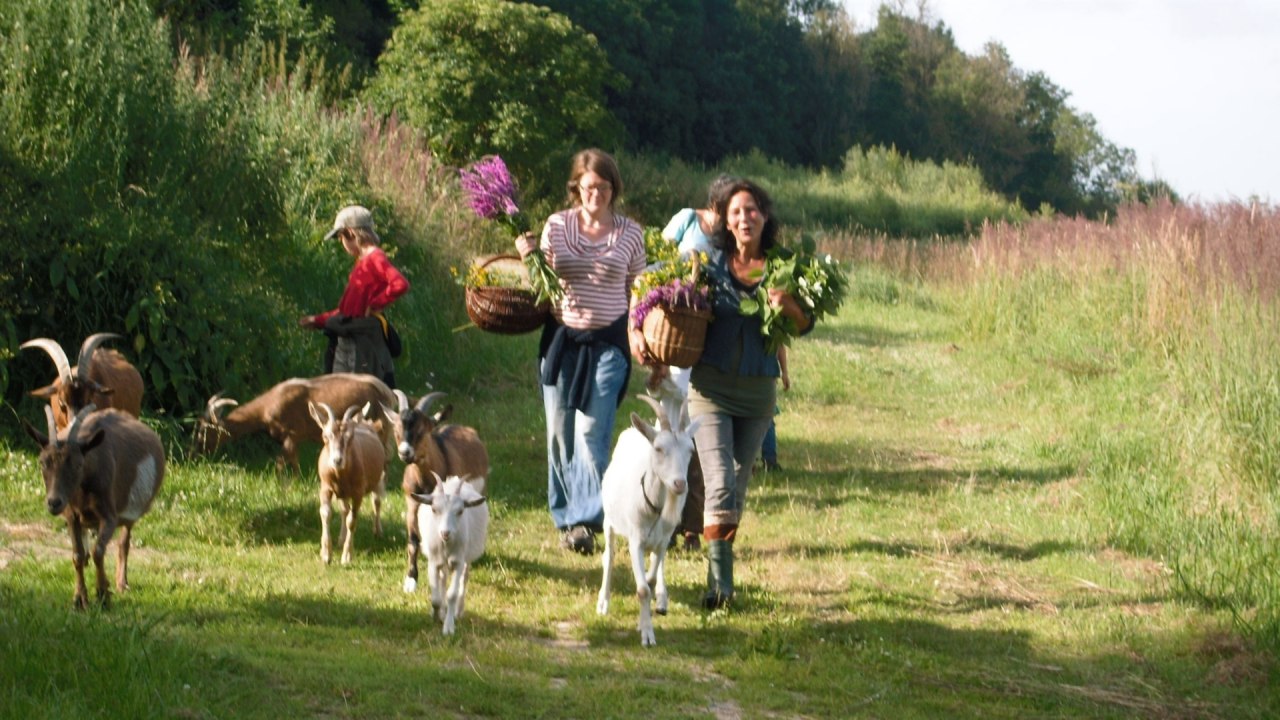 Kruidenwandeling met geiten // &copy; Kr&auml;uterhof Carlsthal
