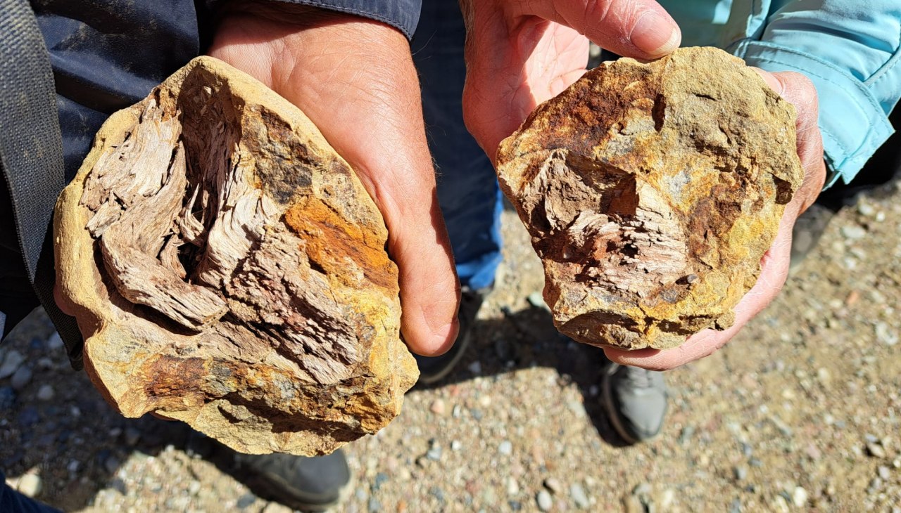 26-05-09 Wspaniały świat kamieni, GMZ, &copy; C