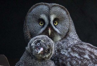 © Zoo Rostock/Kloock