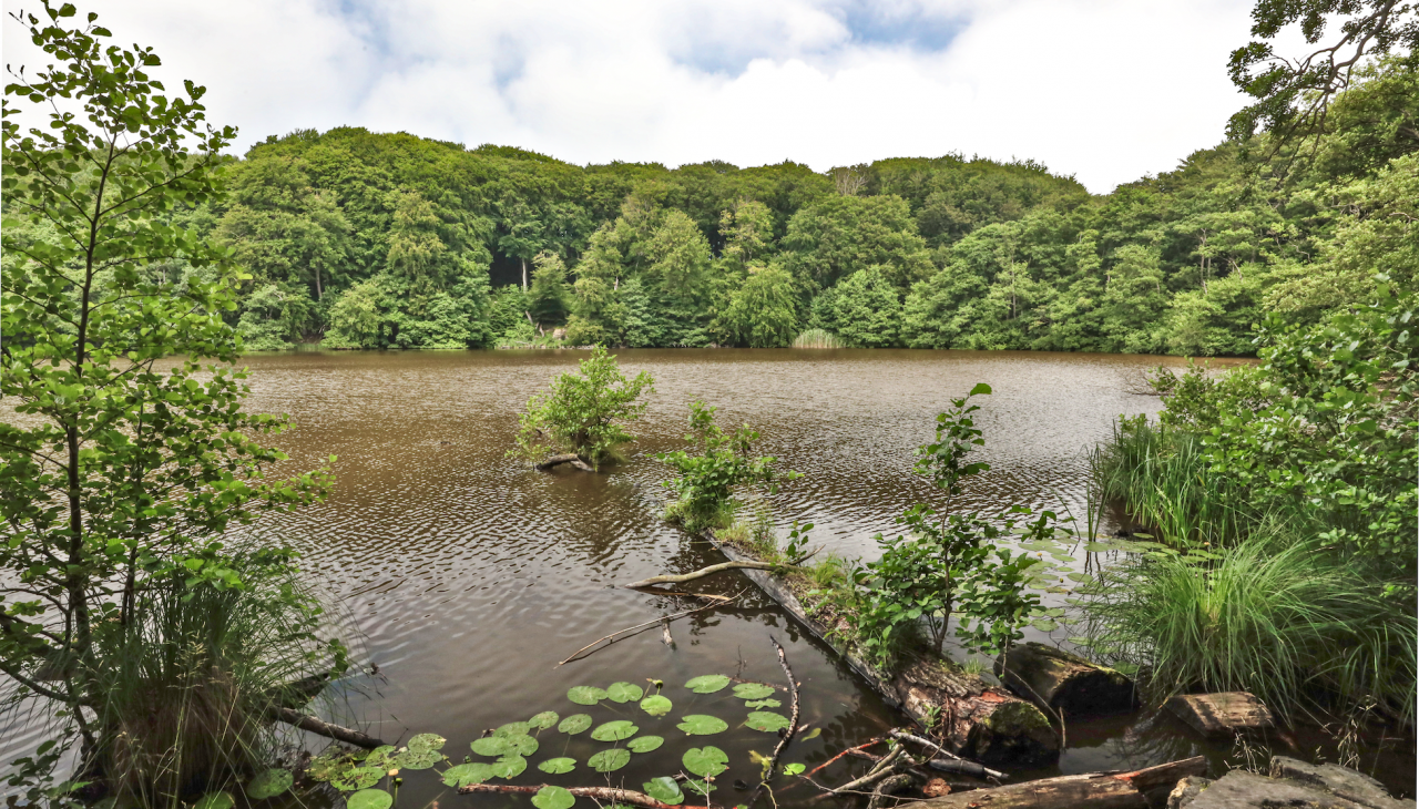 herthasee_5, © TMV/Gohlke