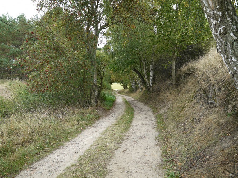 Landschap in de buurt van Langen Brütz, © Naturpark Sternberger Seenland