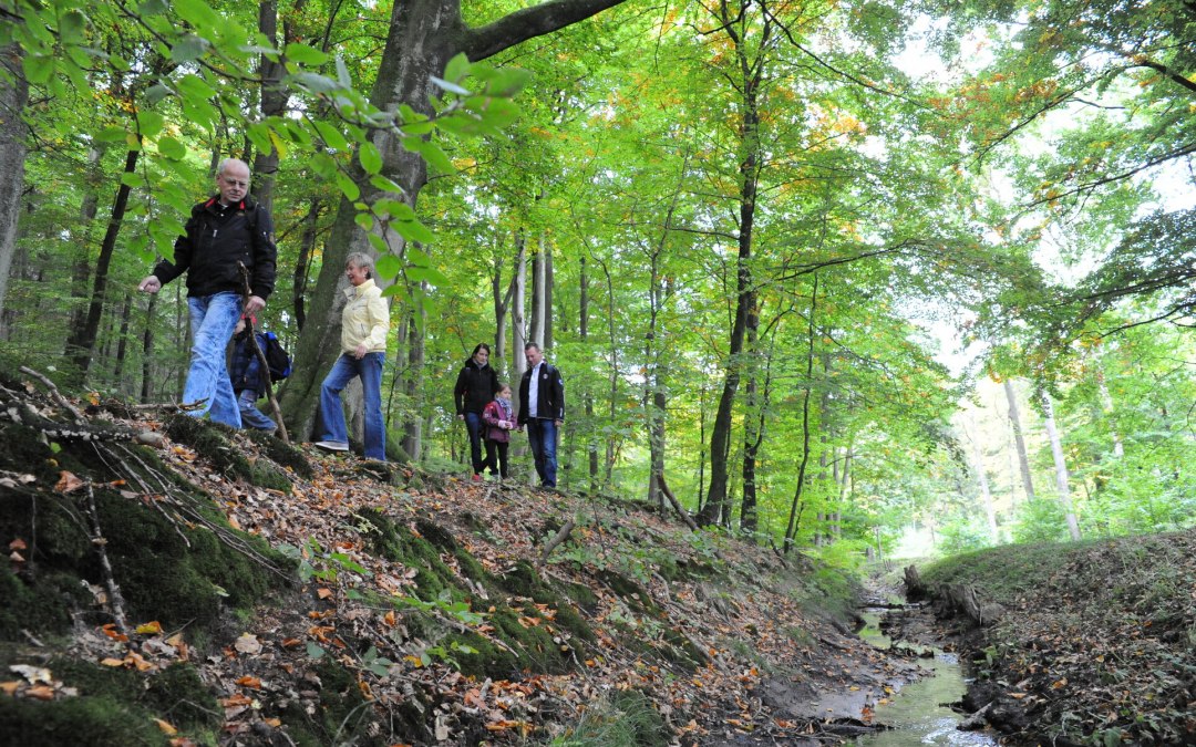 Wędrówka przez wrzosowiska, © TMV/Duerst